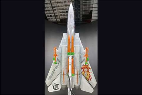 F-14Aマヤノトップガン仕様05